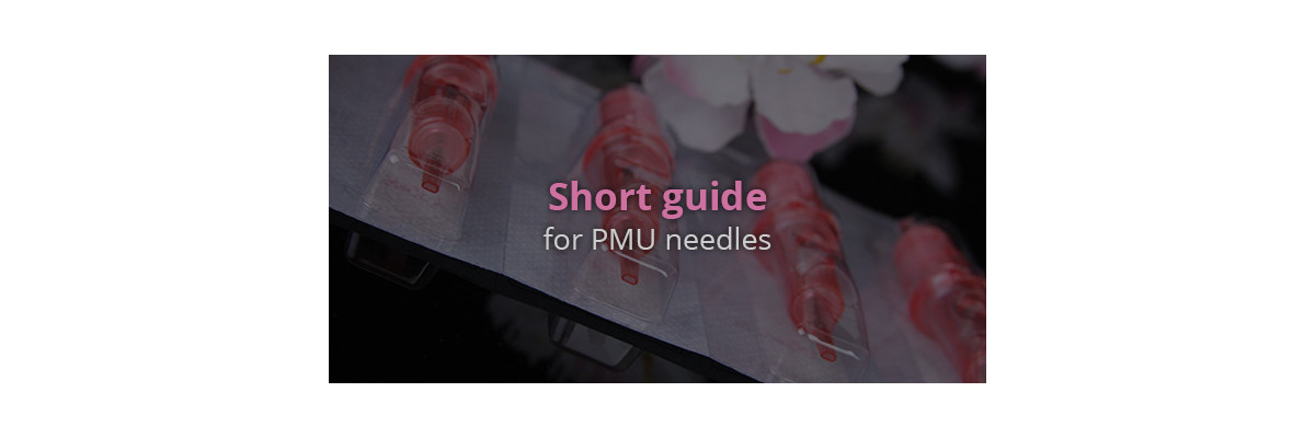 Small Guide for PMU Needles - Little Advisor vor PMU Needles