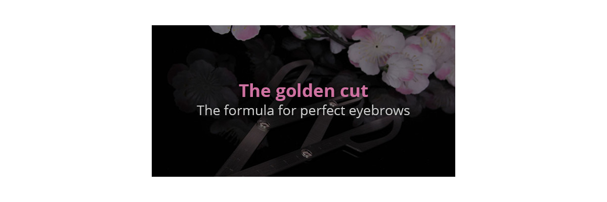 The golden cut - The formula for perfect eyebrows - Golden ratio - is beauty calculable?
