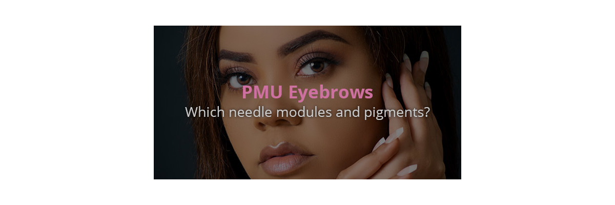 Which needle modules are best for eyebrows? - Which needle modules and pigments are best for eyebrows?