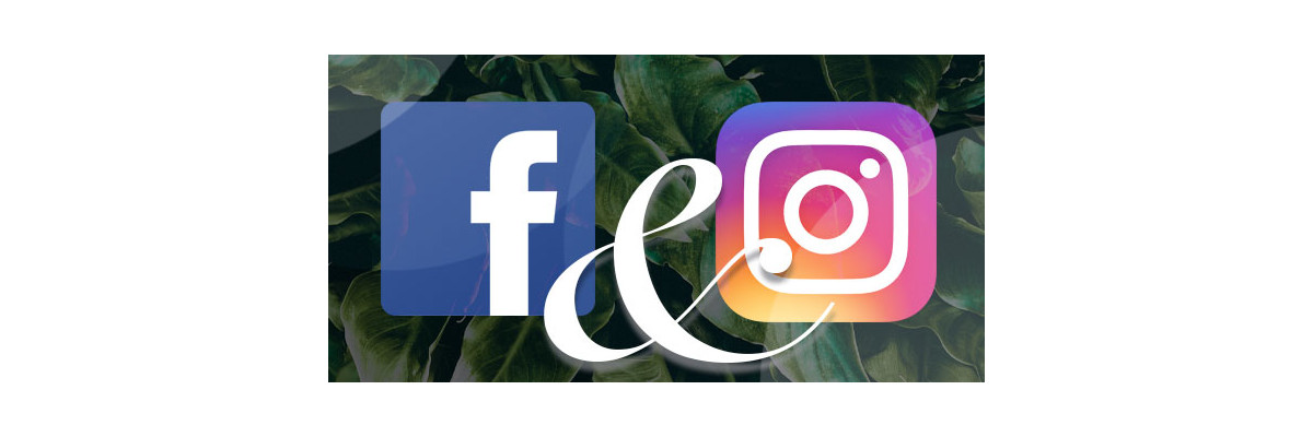 Folgt uns auf Instagram und Facebook - 