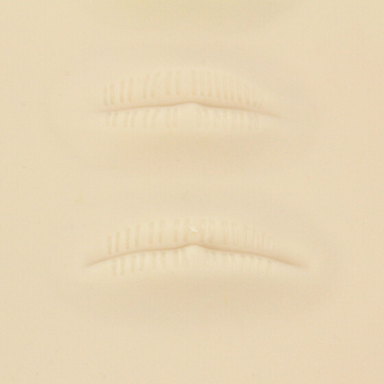Lippenkonturen - 19 cm x 21 cm